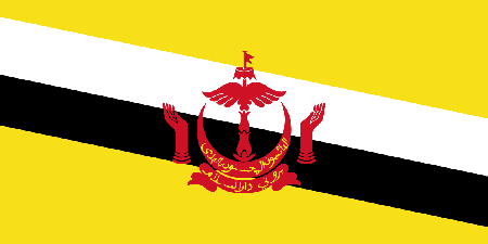 Brunei background screening services