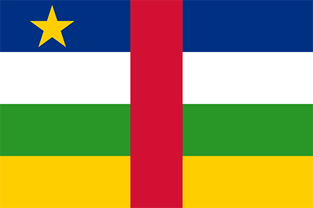 Central African Republic background screening services