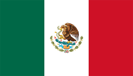 Mexico background screening services