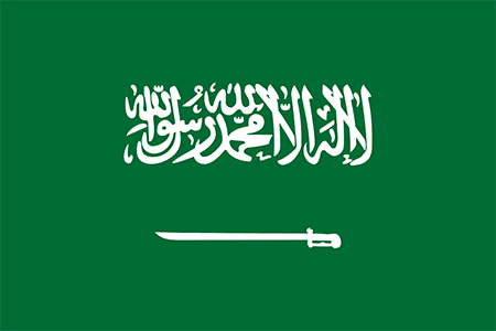 Saudi Arabia background screening services